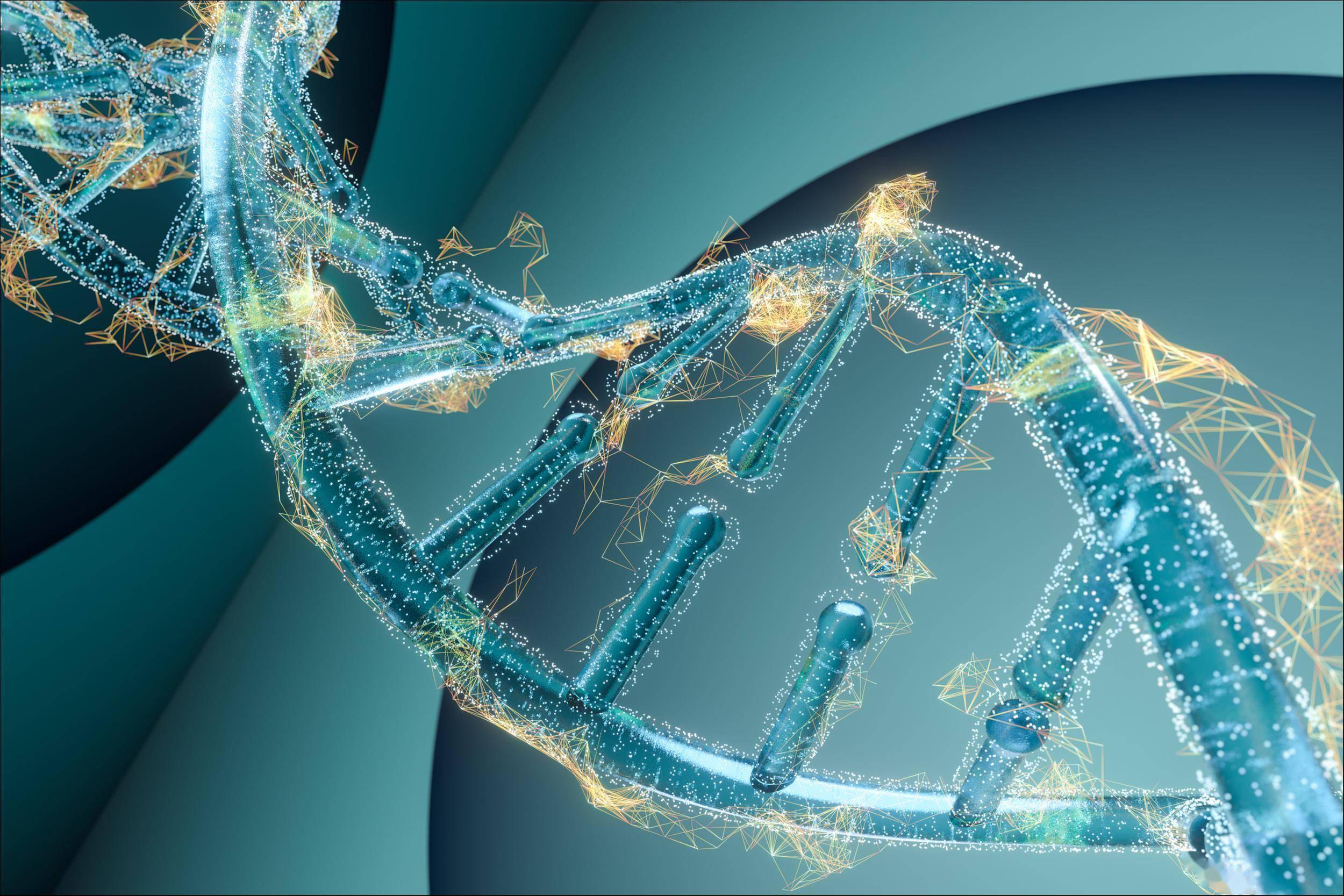 LeKang (Guangzhou) Gene Technology Co., Ltd